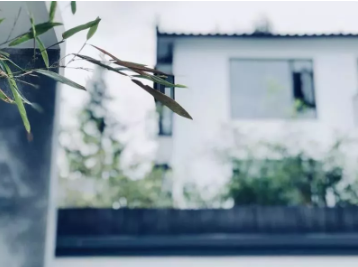 1587023279235039.png image.png